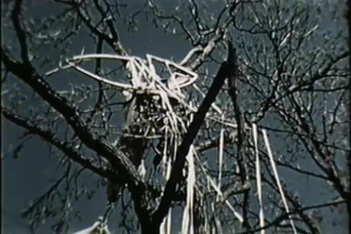341-roswell-9-r2.mp4