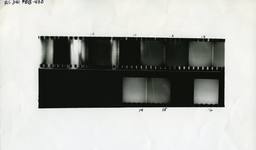 341-PBB-400.jpg