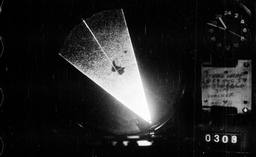 341-PBB-538-0164.jpg