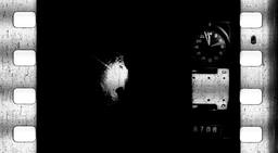 341-PBB-533-0084.jpg