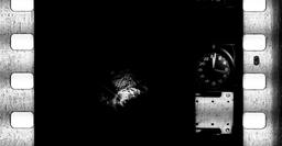341-PBB-533-0041.jpg