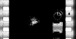 341-PBB-533-0042.jpg